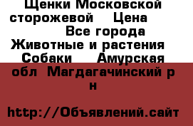 Щенки Московской сторожевой  › Цена ­ 25 000 - Все города Животные и растения » Собаки   . Амурская обл.,Магдагачинский р-н